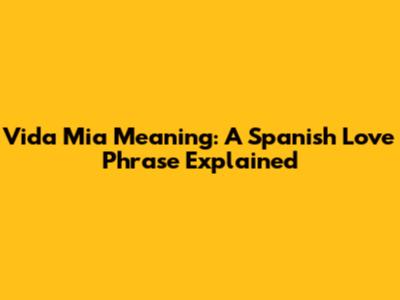 "Vida Mia" Meaning: A Spanish Love Phrase Explained
