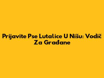 **Prijavite Pse Lutalice U Nišu: Vodič Za Građane**