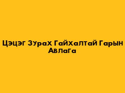 Цэцэг Зурах Гайхалтай Гарын Авлага