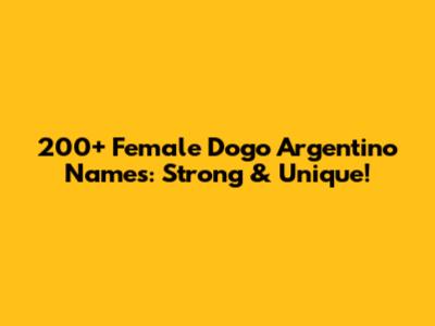 200+ Female Dogo Argentino Names: Strong & Unique!