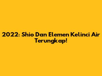 2022: Shio Dan Elemen Kelinci Air Terungkap!