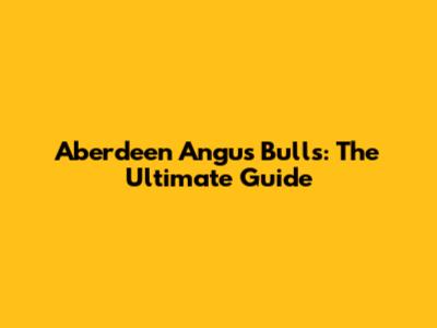 Aberdeen Angus Bulls: The Ultimate Guide