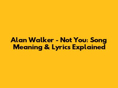 Alan Walker - Not You: Song Meaning & Lyrics Explained
