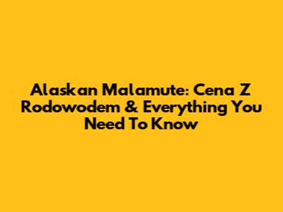 Alaskan Malamute: Cena Z Rodowodem & Everything You Need To Know