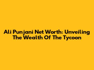 Ali Punjani Net Worth: Unveiling The Wealth Of The Tycoon