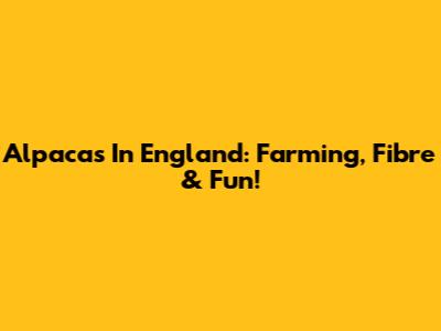 Alpacas In England: Farming, Fibre & Fun!