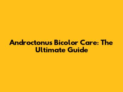 Androctonus Bicolor Care: The Ultimate Guide