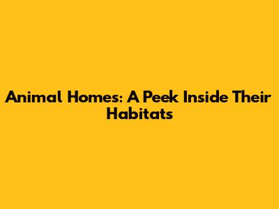 Animal Homes: A Peek Inside Their Habitats