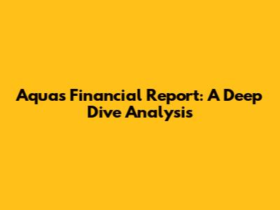 Aqua's Financial Report: A Deep Dive Analysis
