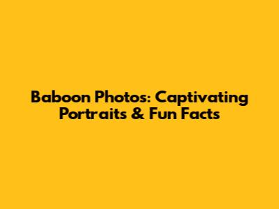 Baboon Photos: Captivating Portraits & Fun Facts