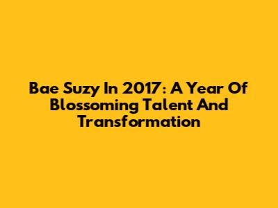 Bae Suzy In 2017: A Year Of Blossoming Talent And Transformation