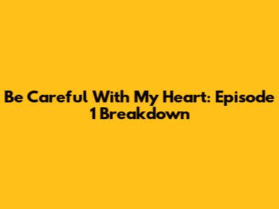 Be Careful With My Heart: Episode 1 Breakdown