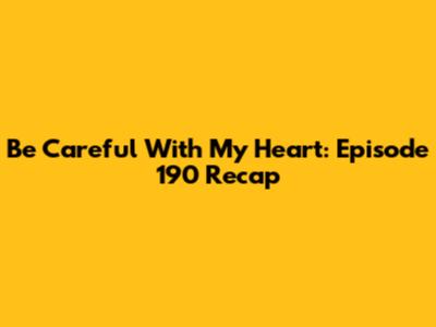 Be Careful With My Heart: Episode 190 Recap