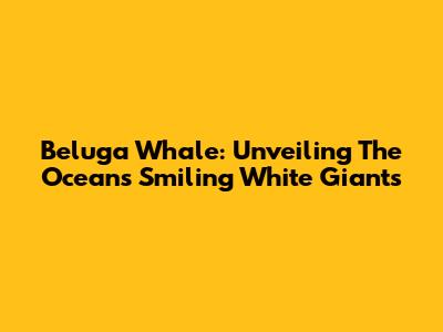 Beluga Whale: Unveiling The Ocean's Smiling White Giants