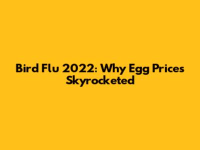 Bird Flu 2022: Why Egg Prices Skyrocketed