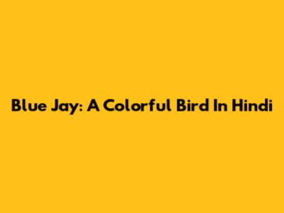 Blue Jay: A Colorful Bird In Hindi