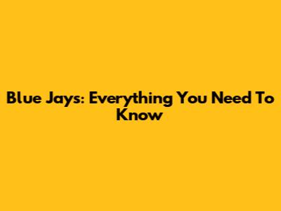 Blue Jays: Everything You Need To Know