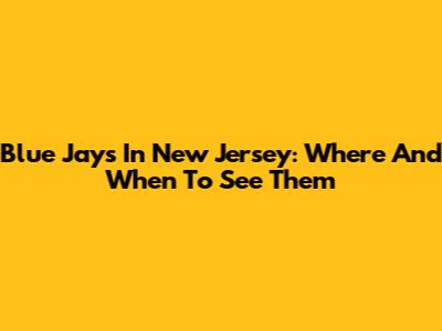 Blue Jays In New Jersey: Where And When To See Them