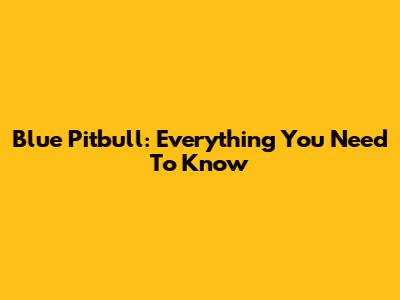 Blue Pitbull: Everything You Need To Know