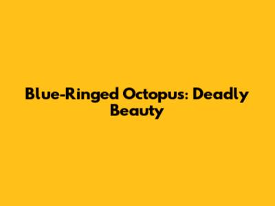Blue-Ringed Octopus: Deadly Beauty