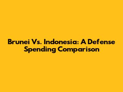 Brunei Vs. Indonesia: A Defense Spending Comparison