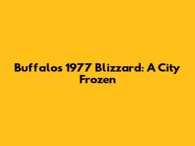 Buffalo's 1977 Blizzard: A City Frozen