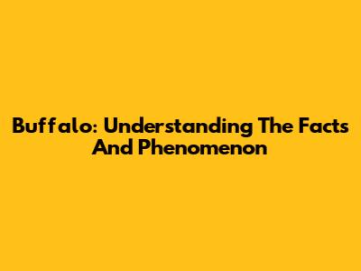 Buffalo: Understanding The Facts And Phenomenon