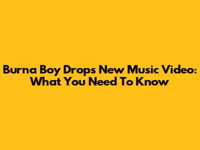 Burna Boy Drops New Music Video: What You Need To Know