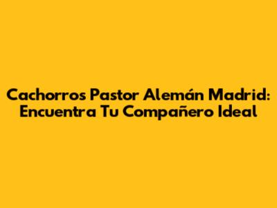Cachorros Pastor Alemán Madrid: Encuentra Tu Compañero Ideal