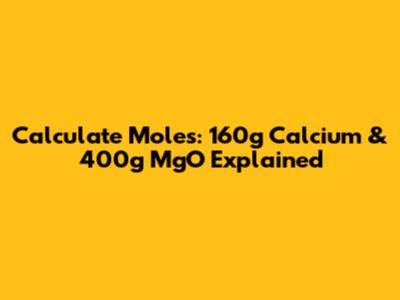 Calculate Moles: 160g Calcium & 400g MgO Explained