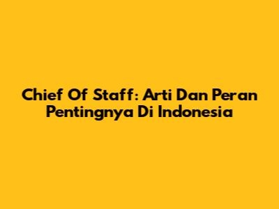 Chief Of Staff: Arti Dan Peran Pentingnya Di Indonesia
