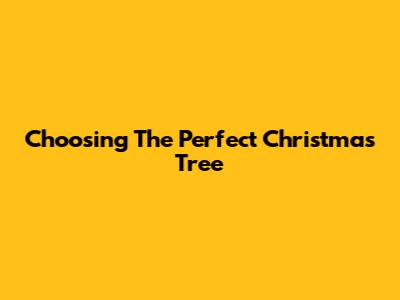 Choosing The Perfect Christmas Tree