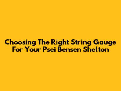 Choosing The Right String Gauge For Your Psei Bensen Shelton