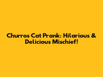 Churros Cat Prank: Hilarious & Delicious Mischief!