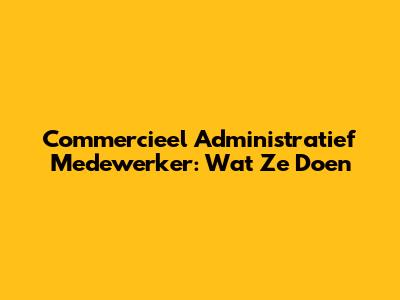 Commercieel Administratief Medewerker: Wat Ze Doen