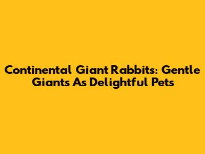 Continental Giant Rabbits: Gentle Giants As Delightful Pets