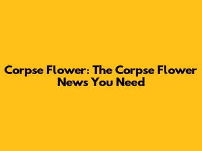 Corpse Flower: The Corpse Flower News You Need