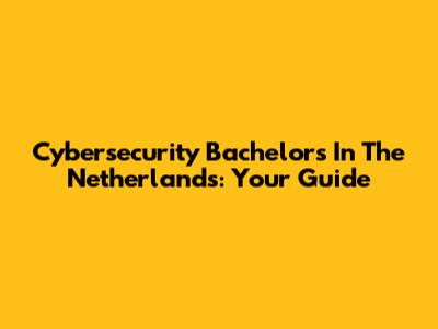 Cybersecurity Bachelor's In The Netherlands: Your Guide
