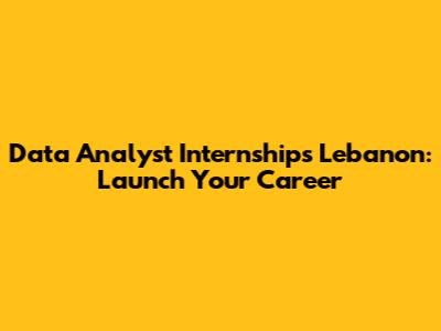 Data Analyst Internships Lebanon: Launch Your Career