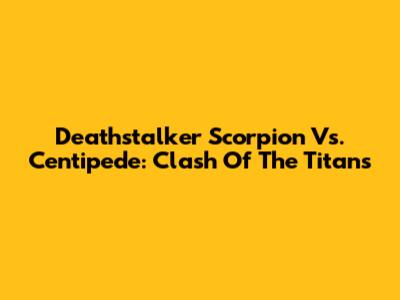Deathstalker Scorpion Vs. Centipede: Clash Of The Titans