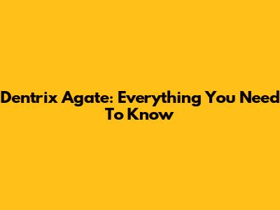 Dentrix Agate: Everything You Need To Know