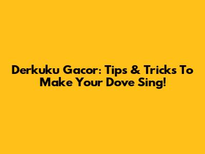 Derkuku Gacor: Tips & Tricks To Make Your Dove Sing!