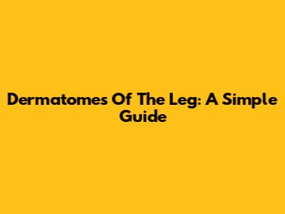 Dermatomes Of The Leg: A Simple Guide