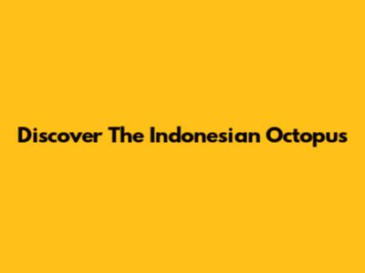 Discover The Indonesian Octopus