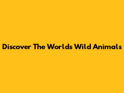 Discover The World's Wild Animals