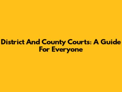 District And County Courts: A Guide For Everyone