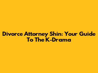 Divorce Attorney Shin: Your Guide To The K-Drama