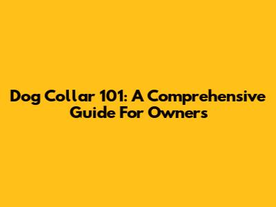 Dog Collar 101: A Comprehensive Guide For Owners