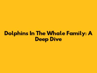 Dolphins In The Whale Family: A Deep Dive