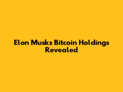 Elon Musk's Bitcoin Holdings Revealed